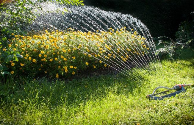 Tipps und Tricks für Ihren BioGarten Journal 24